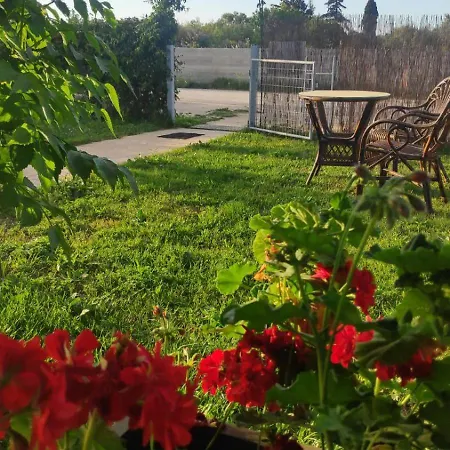 Casa vacanze Olive *
